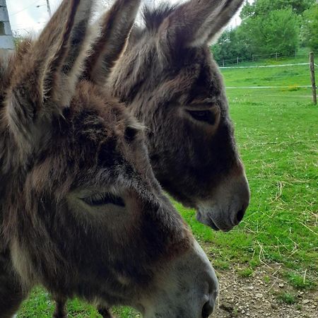 Gite Aux Anes Avec Spa Menetou-Ratel Bagian luar foto